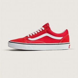 Vans Old Skool Shoes